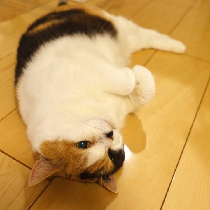 61eacf70 ab74 45db a62a 76b984dfb2c4