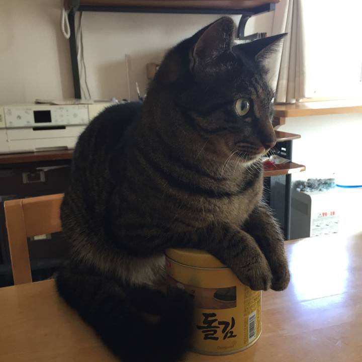 61eb035e a20d 4ac5 a79a ff724d4137c6