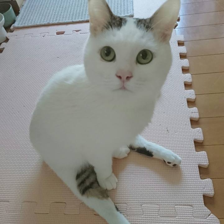 61ebcd9c ab53 43ae 8f1e b1da35dbb291