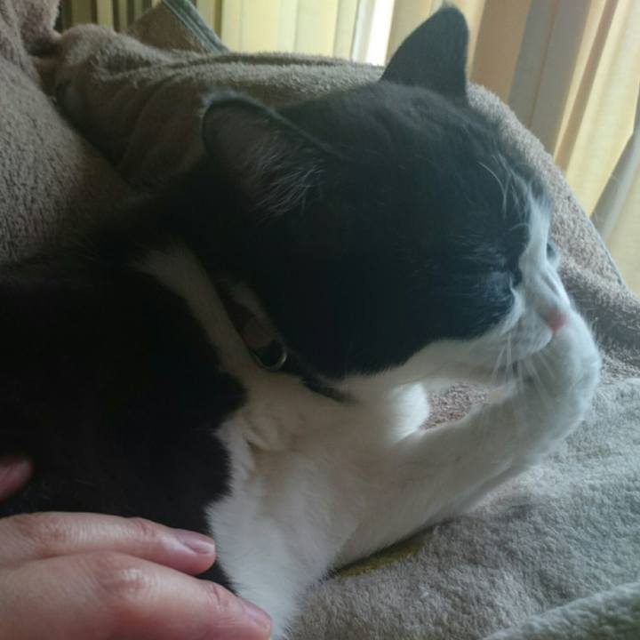 61ebe3fa 3660 4573 a754 020ac38cc42a