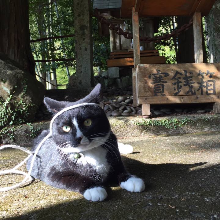 61ec5864 16f4 4ff3 ab0b 0ce3da93e315