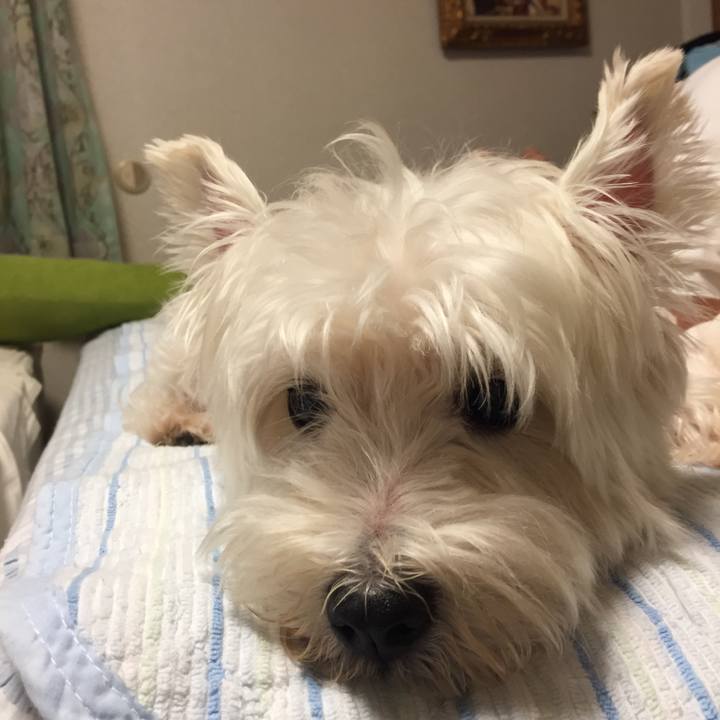 61ece618 5084 4893 bb65 bfd1139cd049