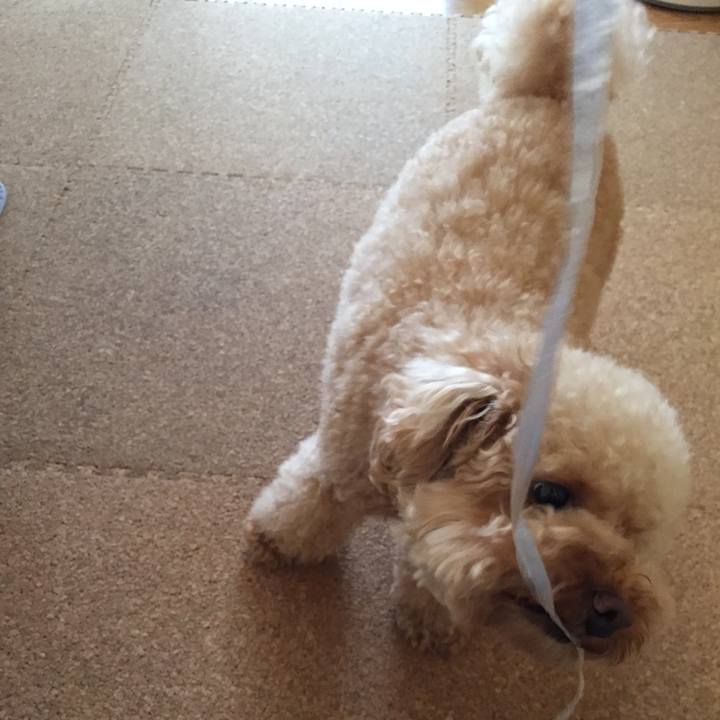 61ed8066 1ed8 4d75 9e26 e7019a435725