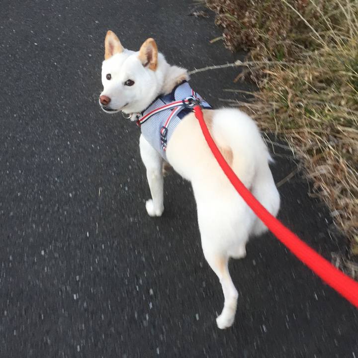 61ede0a3 bba1 43c4 8756 5fd71acf5d4d