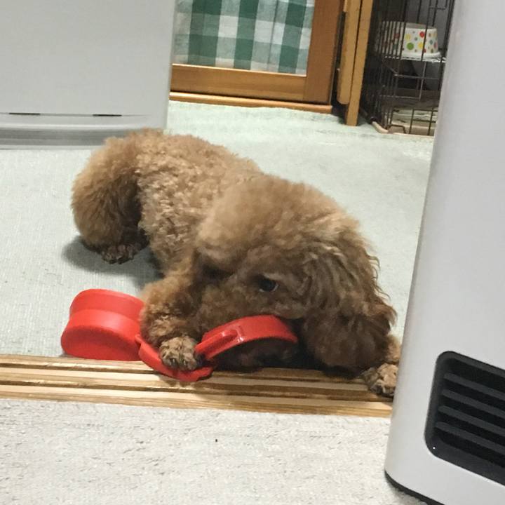 61ef823b b7f6 4b9d 9077 b9eef8fef9d4