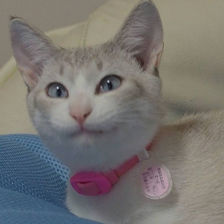 61ef869f f02f 4fd4 940e 07f1d74cf7f9