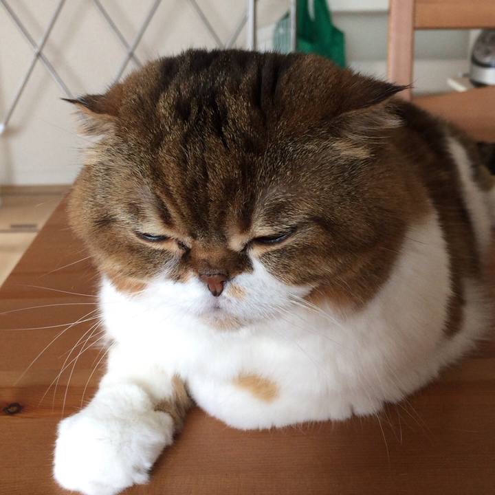 61f0a0f4 de27 4f69 986e 0008b594d252