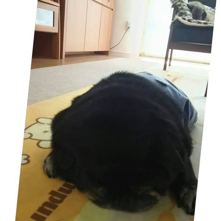 61f1139b f2a1 40e4 98e0 85b4fa223c4f