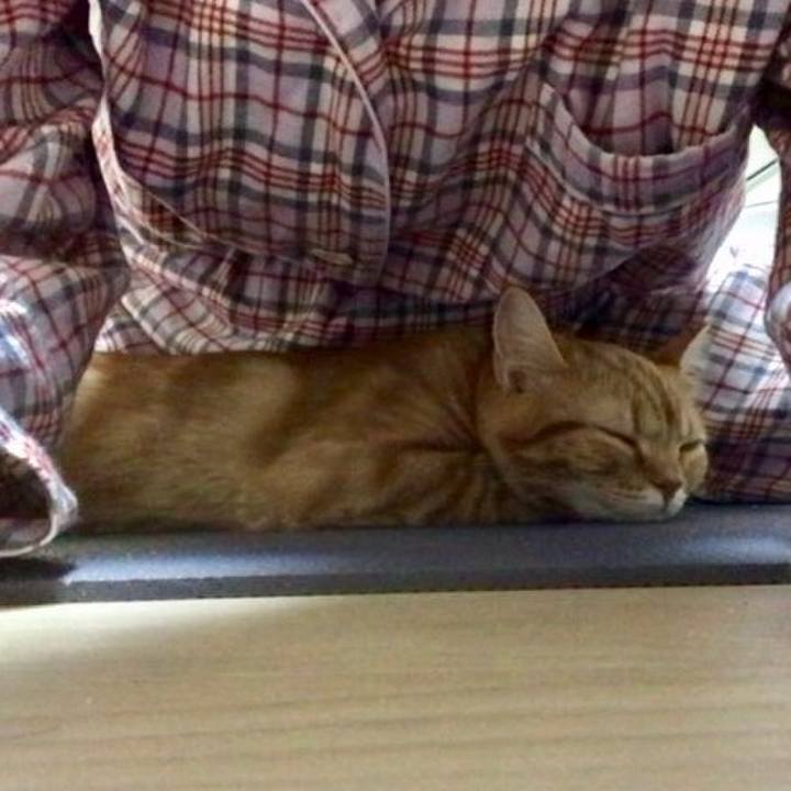 61f1aa77 bdc5 41b7 afbf 137101e5854e