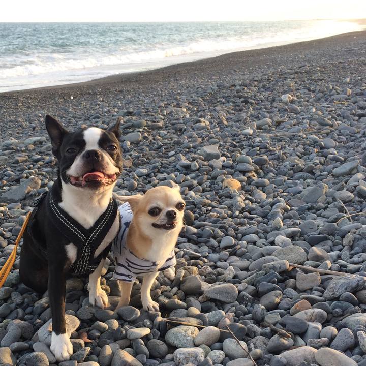 61f1c79a defb 4303 8325 aba79ce4dd1c