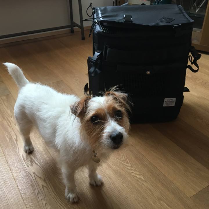 61f2524f bd07 43b6 b037 1721fcfb1ab3