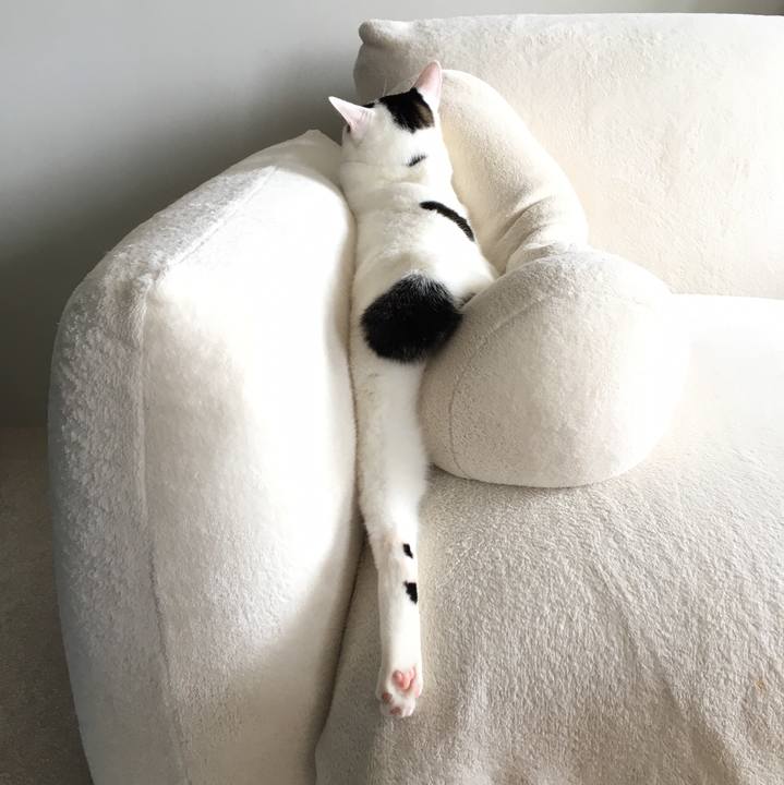 61f2e824 da25 43a7 84df 92b5866f2574