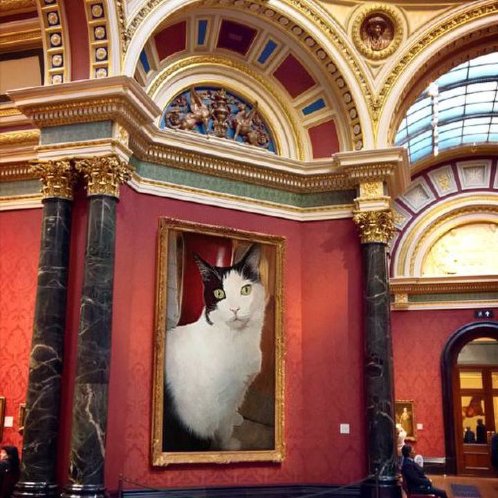 61f35d6d e827 4977 9d55 e51b1496a03f