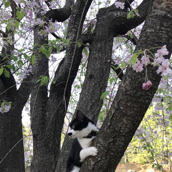 61f39880 6488 4b09 bd68 6d1c64caabe0