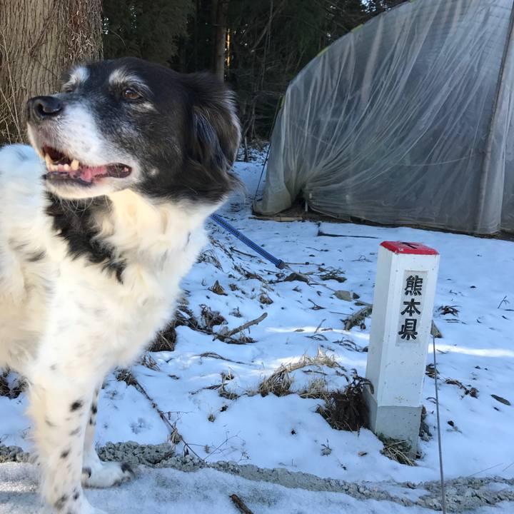 61f3cdfc ea3a 4c94 8baf 9a8977078b89