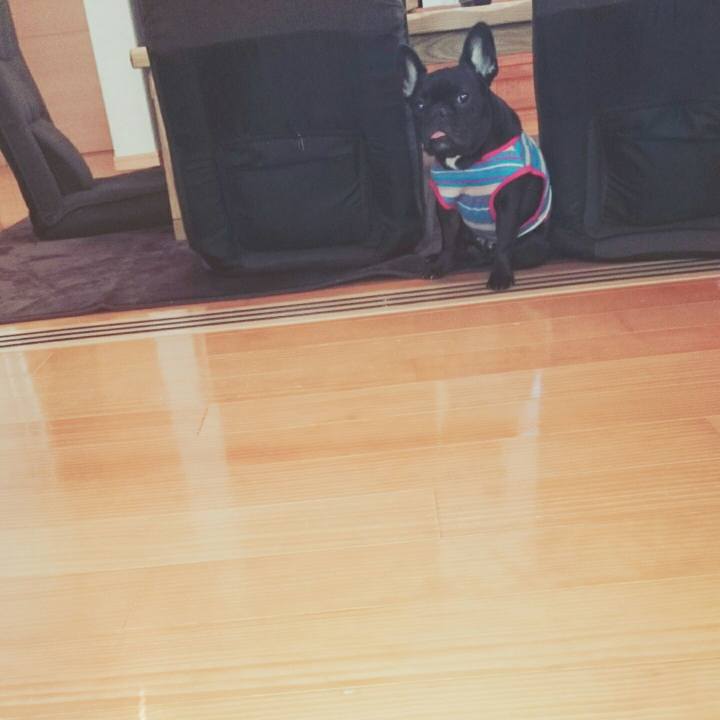 61f3fc0e 227f 48fb b4c4 913086a2daec