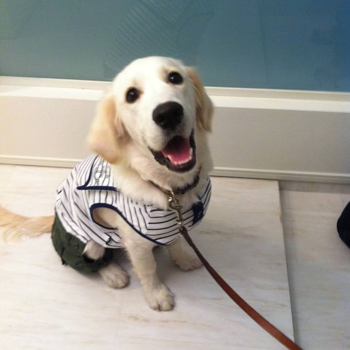 61f49bf3 7f9c 40cc 9cda 90052b37df92