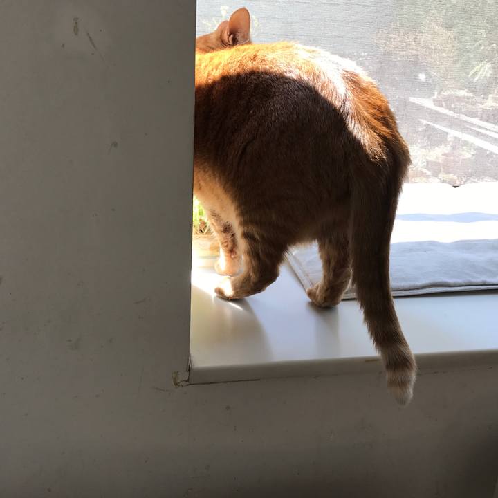 61f51443 81cb 4fdb abc8 2ecae1841f4f