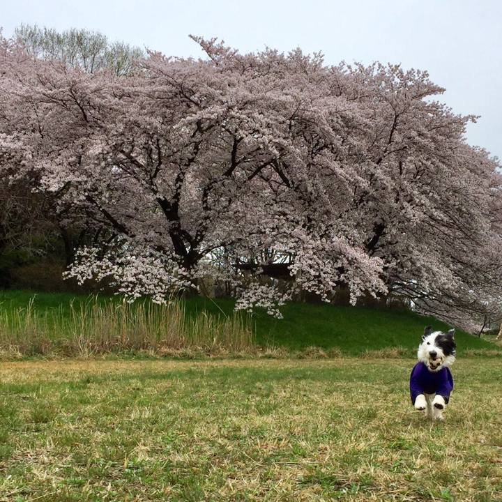 61f5c0fd 6207 48e1 8668 7f86f217ef0a