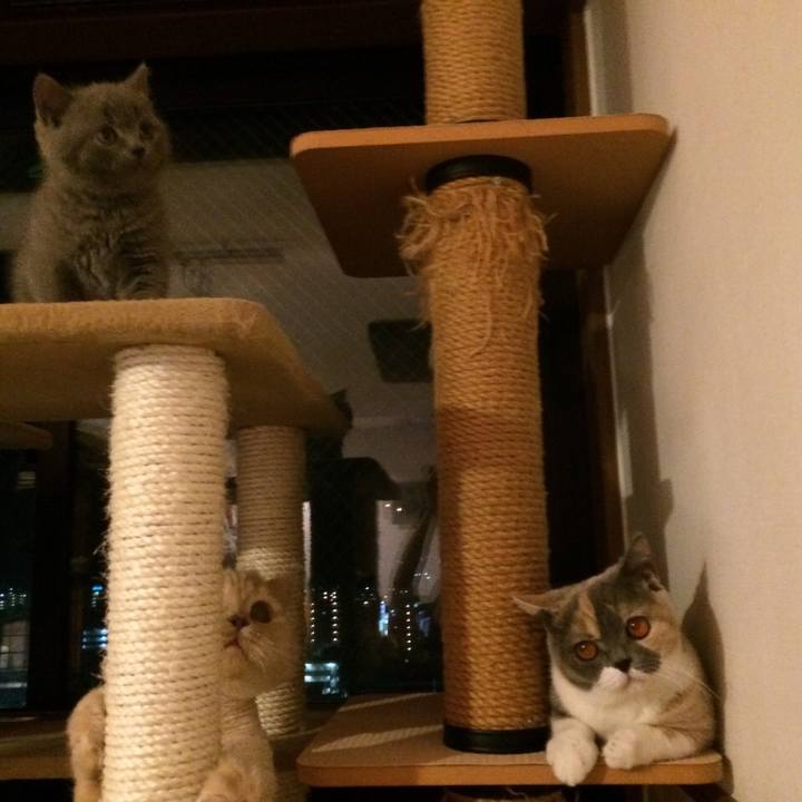 61f5dfea 6f4a 45d0 af27 d64cedae16c9