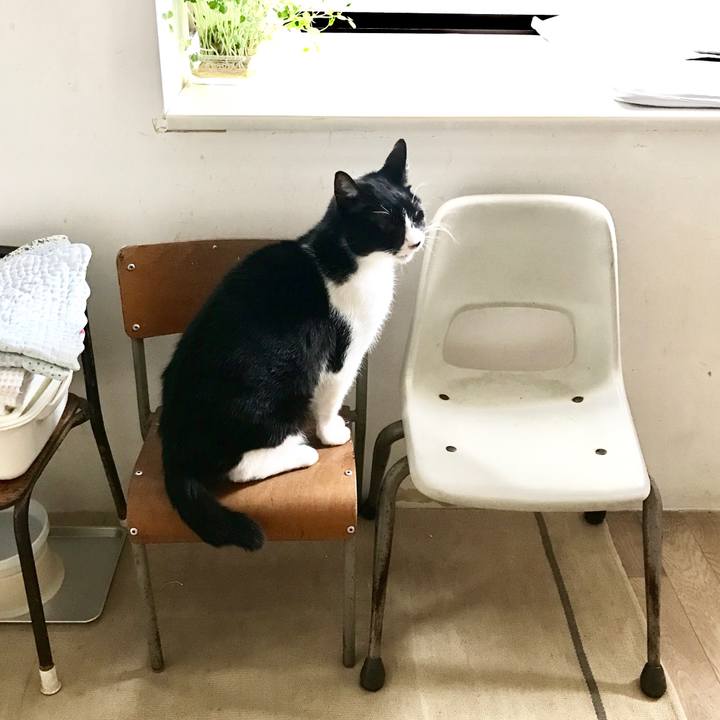 61f5e20d 771d 4b62 b475 3cabfad24949