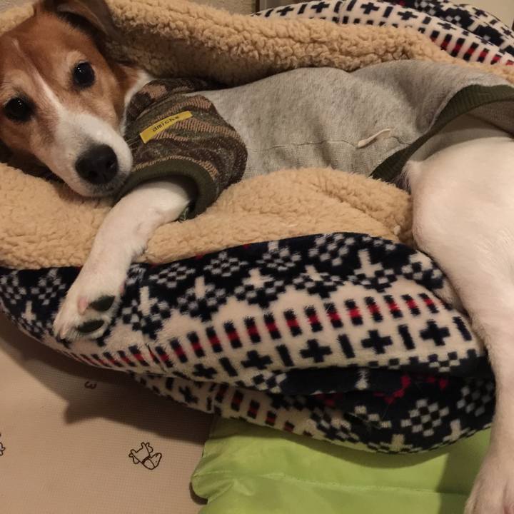 61f67a86 46d6 4bb2 8d75 a6d6bf65c9c5