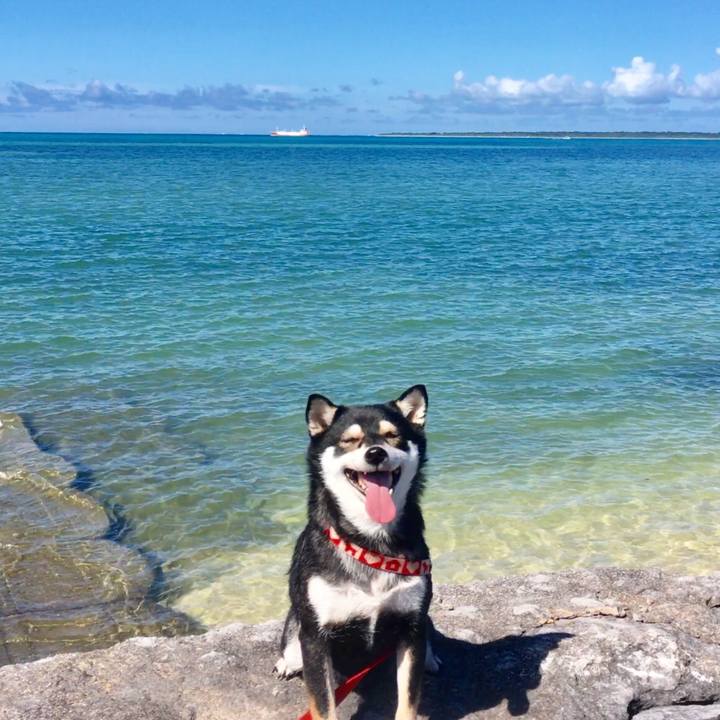 61f6e615 af41 4a23 a347 2520740d9dcf