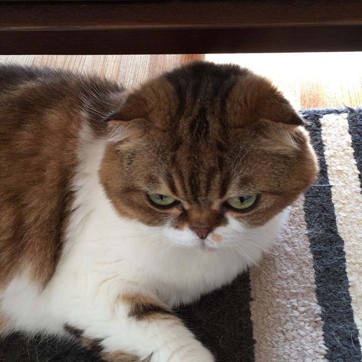 61f72169 0712 4e2a bdd8 9235afd901b0