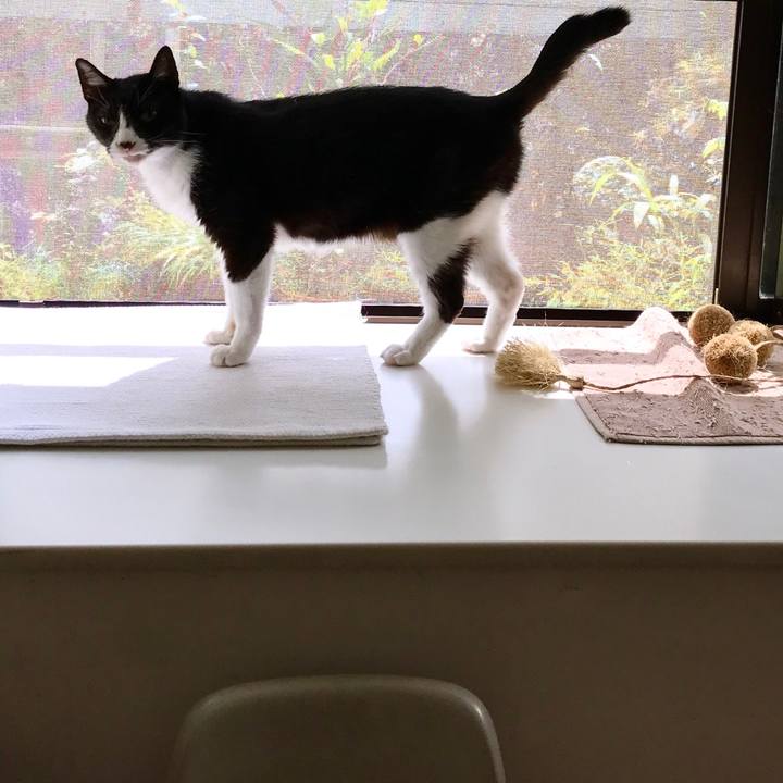 61f776c0 ca62 4572 b3da ccf772f8410f