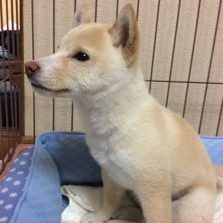 61f7f003 6a1f 4f0e bf28 ee44ba553866