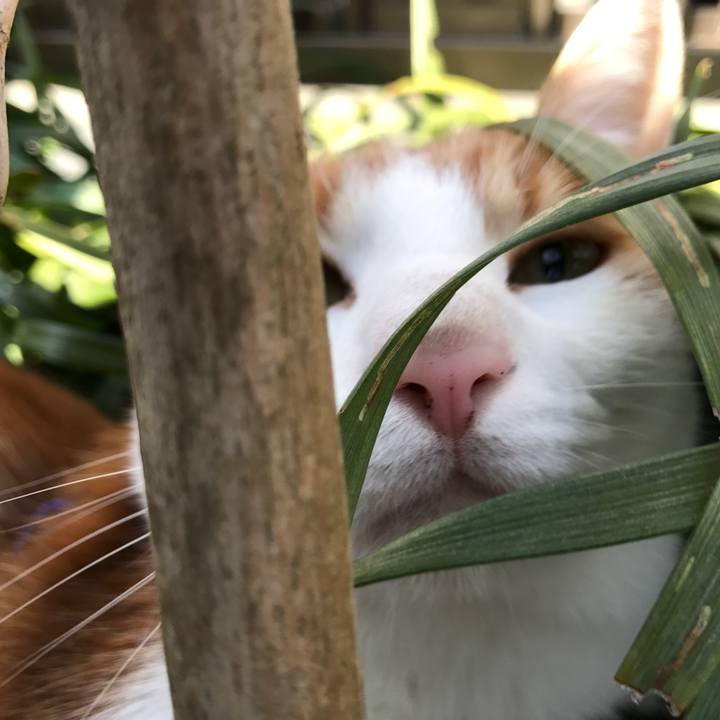 61f7f4f3 7f0f 4bc4 bb3a 2e1313f18a2c