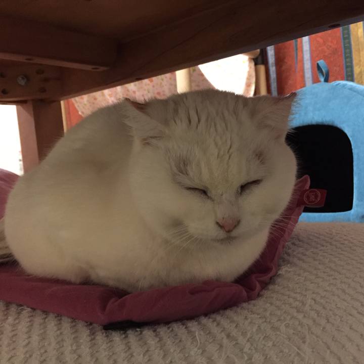 61f8072c ce10 4882 9ba0 8d3fd8108d0c