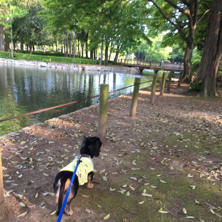 61f8353b 70c7 4179 afa1 a891fb6e031c