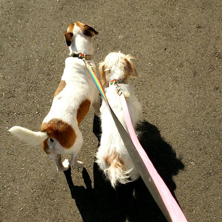 61f849fd 73e2 4d45 ae9a fe123e31ce57