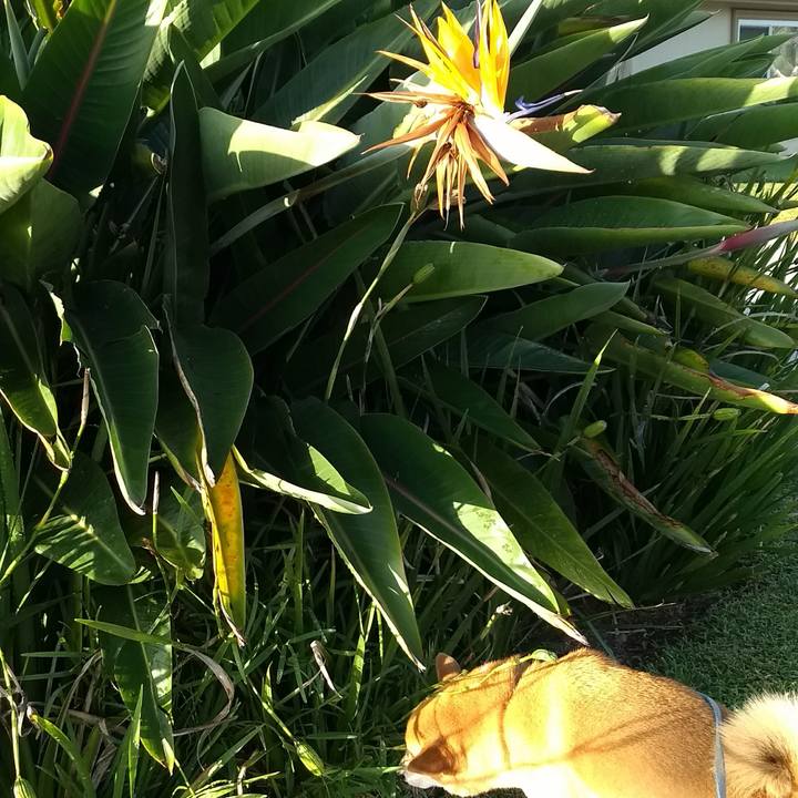 61f84a4d 3807 4cc6 949e 53c1b016df4b