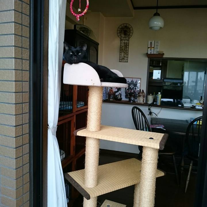 61f857e8 dfe0 43e4 96b3 5b99378dc60f