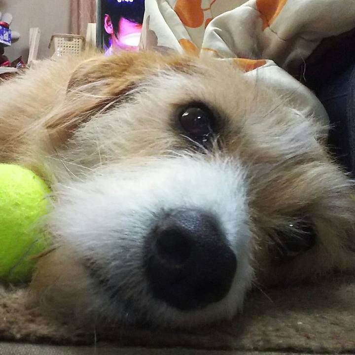 61f8cf80 5fd0 4c17 9936 4543504637cc