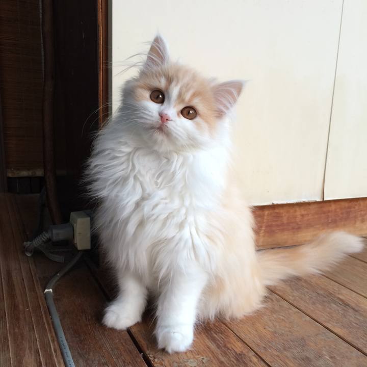 61f9c438 1c04 49fe ad65 eb3978cd0e64