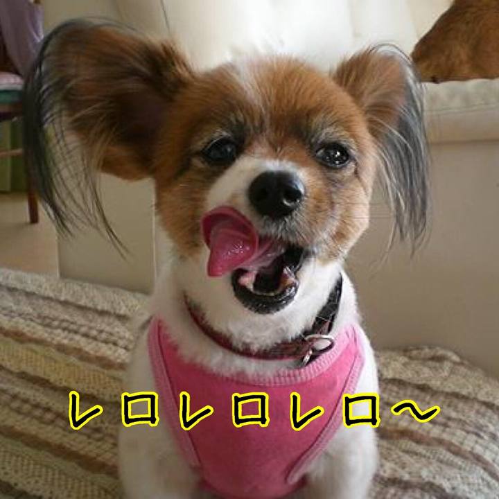 61f9d033 e909 46e8 a194 eac0ee5484fc