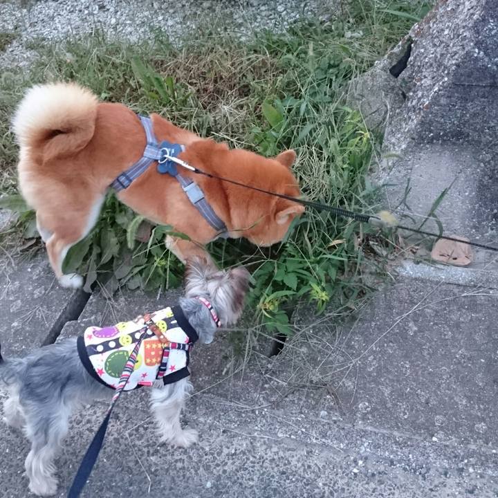 61f9e914 1d30 40dd 8d92 2d70f6c8d9f2