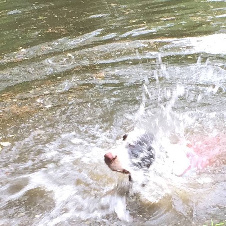 61fa2800 5c28 448e a2d7 674568c2f15e