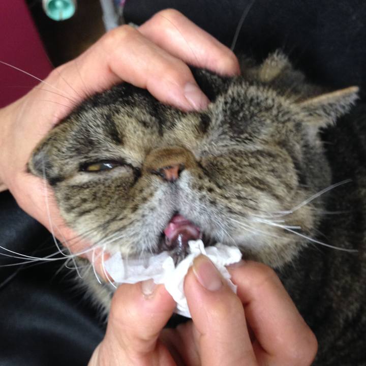 61fa452d 1dcc 4eda a1a7 95a21614ffc4