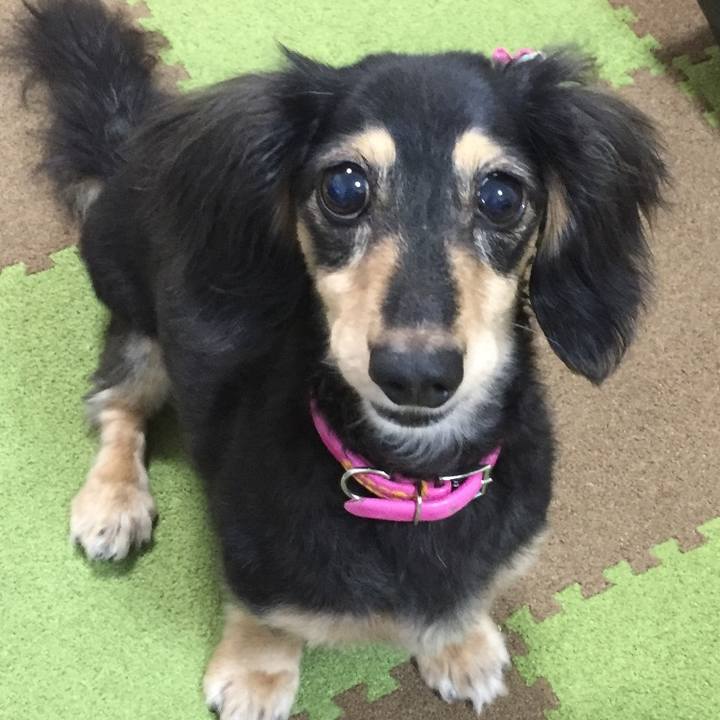 61fad2da 6f4f 489f 9408 4efff0a664d5