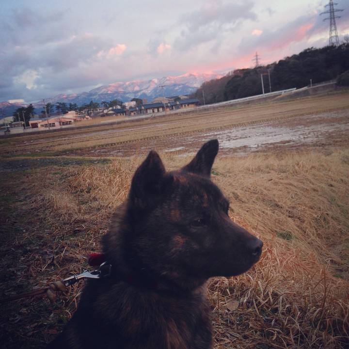 61fae28c 8db2 4ac5 aa82 ed2852ef3a9b