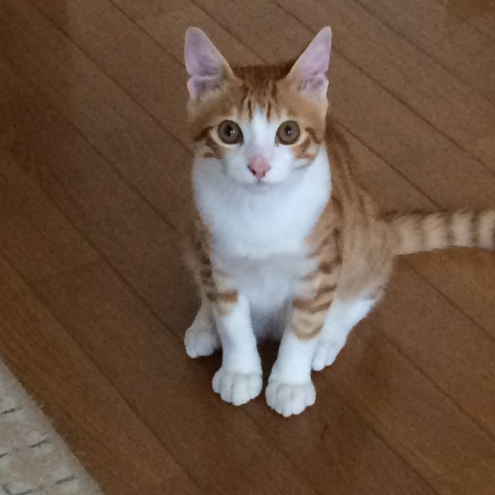 61fb784e 84b7 4654 9bd0 89a4336cc986