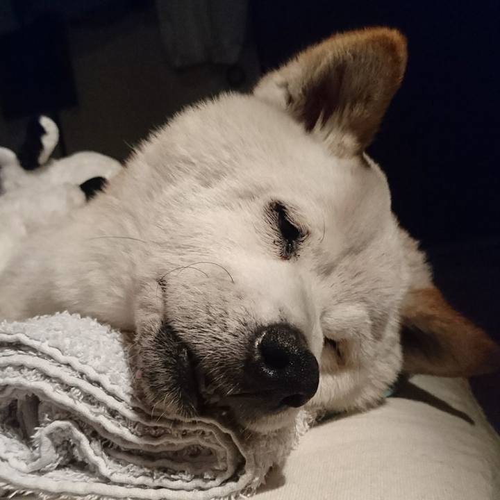 61fbc48a 1fa9 4f4b b5d8 13cee03ae1f5