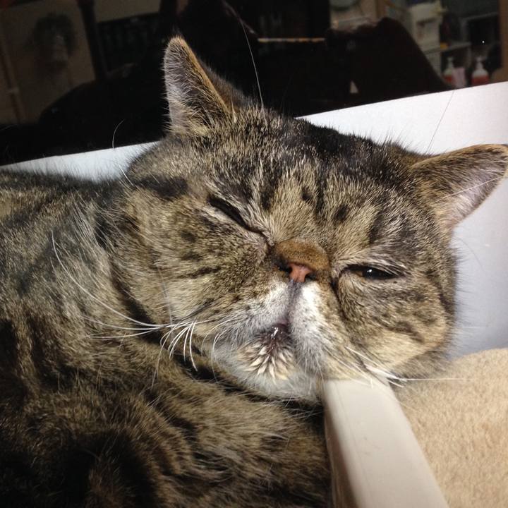 61fbfdb1 2df0 42de be62 b813ae166701