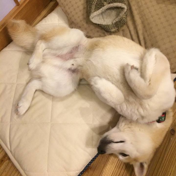 61fc31f6 281d 451a b3e2 87f0c6ef80fe