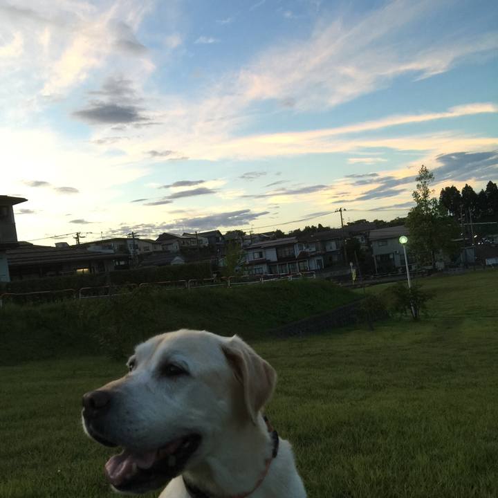 61fc9859 49dc 4801 ae42 6187fede9fb4