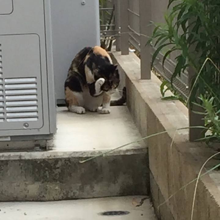 61fcd812 55e0 4c58 ae19 cb09b6f898b2